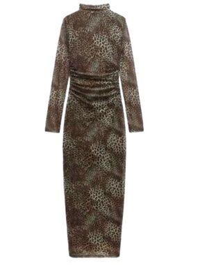 Zara Leopard Print Long Sleeve Maxi Dress